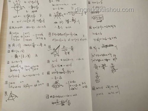 新一卷数学大题难关攻克记